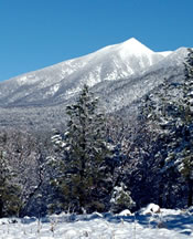 The San Francisco Peaks