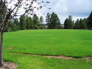 NAU Gabaldon Field