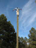 Teambuilding, Challenge Course, Ropes Course, Teambuilding