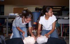 Students performing CPR