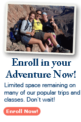 Enroll Now!